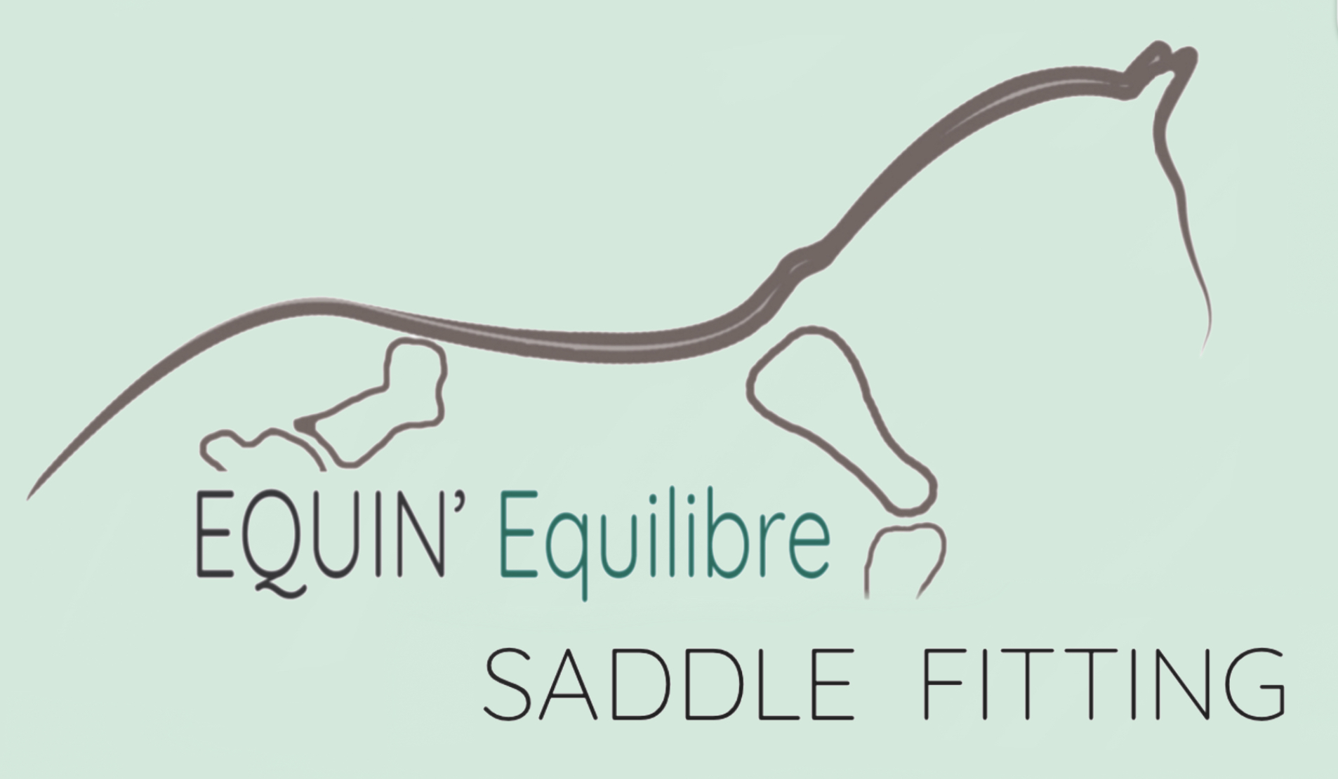 Equin Equilibre Saddle Fitting